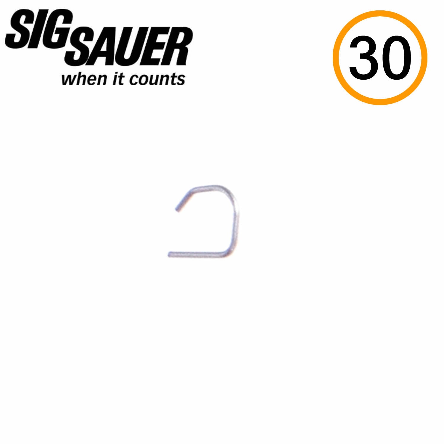 SIG Sauer RECEIVER PIN SPRING, 365 image 0