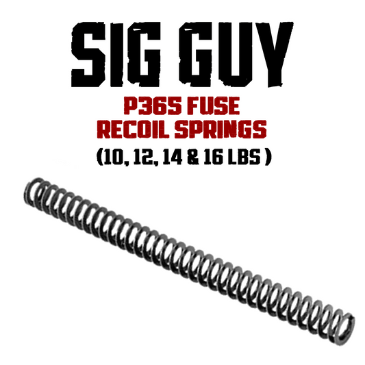 Sig Guy P36 FUSE 1911 Style Flat Wire Recoil Springs image 0