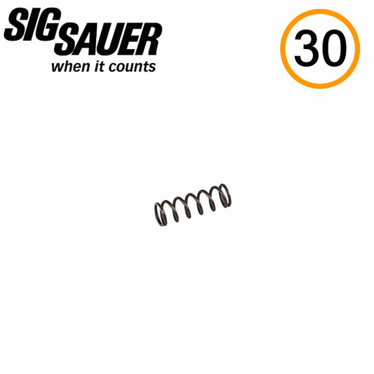 SIG Sauer SPRING, TAKE DOWN SAFETY LEVER, P320 image 0