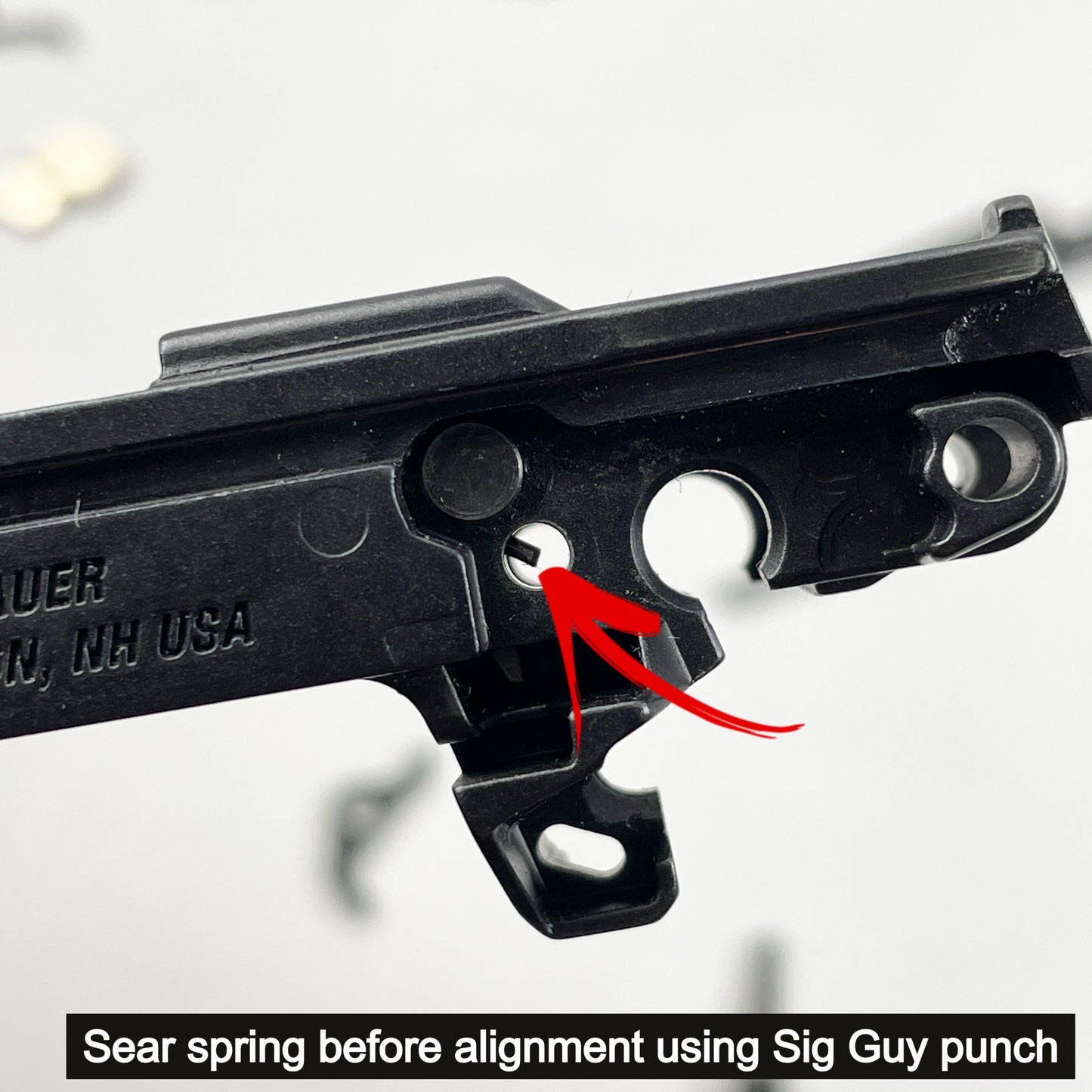 Sig Guy - 365 D.A.R.K - Disassembly and Reassembly Kit image 12