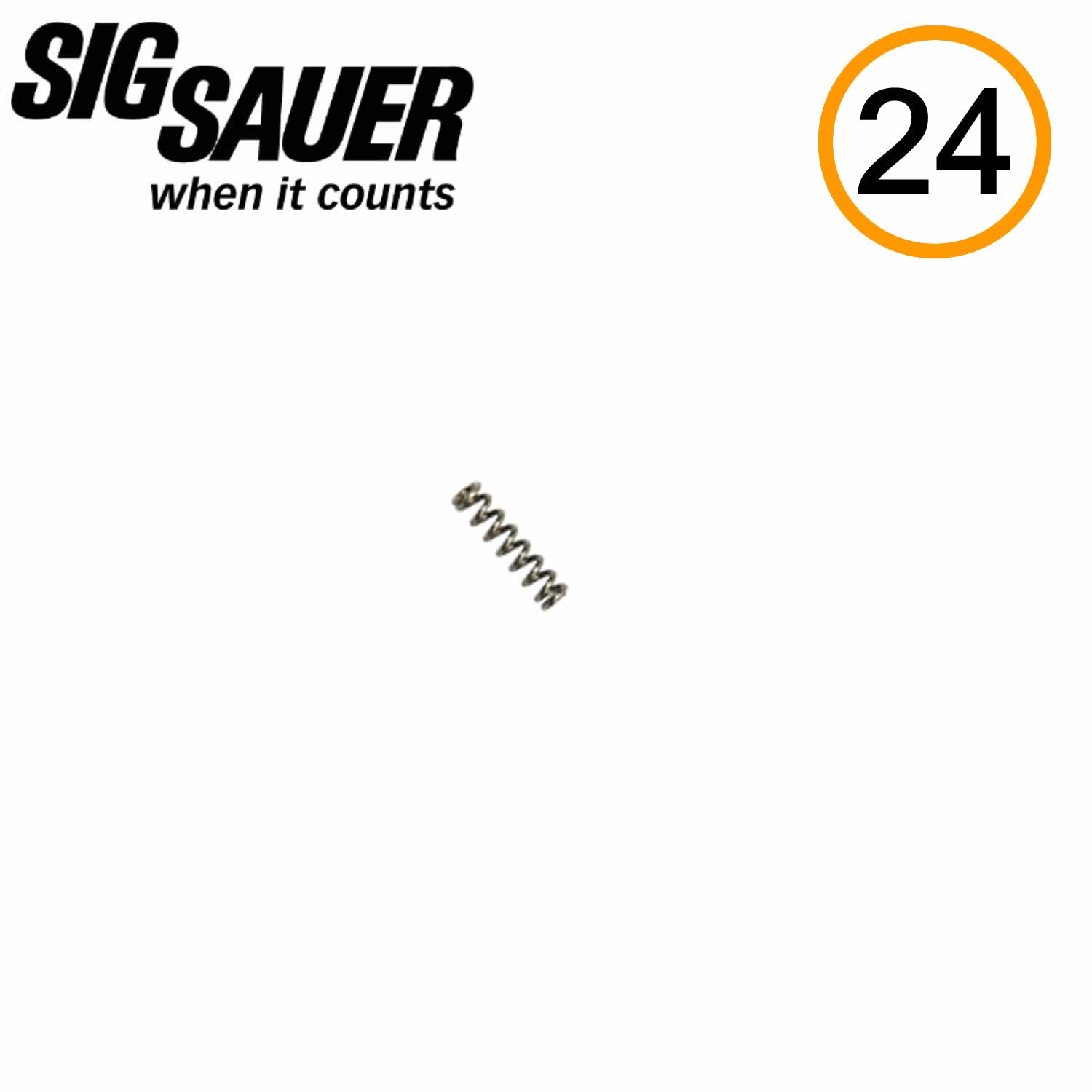 SIG Sauer MANUAL SAFETY DETENT SPRING, P365 image 0