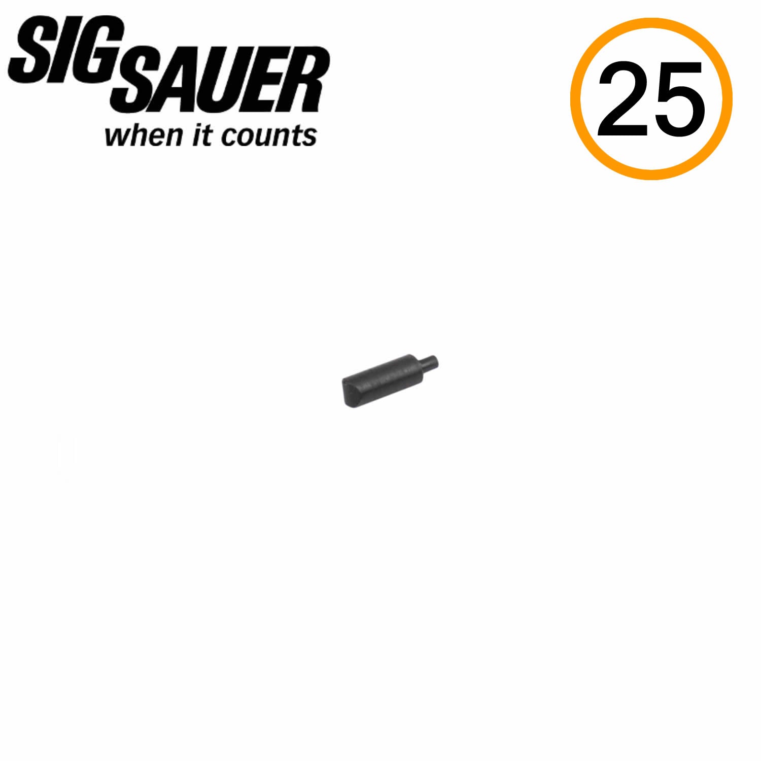 SIG Sauer MANUAL SAFETY DETENT, P365 image 0